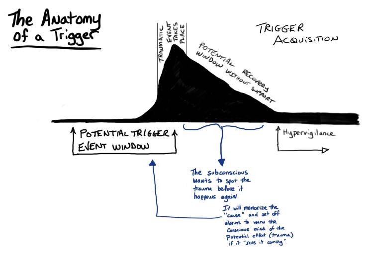 Graphic titled 'The Anatomy of a Trigger' with a y-axis of autonomic nervous system (ANS) activation, an x-axis of time. It begins with low ANS activation which begins to rise to moderate activation as 'traumatic event takes place' and peaks — then declines slowly into 'potential recovery window without support' and the new baseline is higher than the baseline before the traumatic event. Below the chart from the beginning up to the peak is labeled 'potential trigger event window', the recovery window has notes: 'the subconscious wants to spot the trauma before it happens again' it points back to the potential trigger window with the note 'It will memorize the cause and set off alarms to warn the conscious mind of the potential effect (trauma) if it sees it coming.' The new higher baseline is labeled 'hypervigilance'.